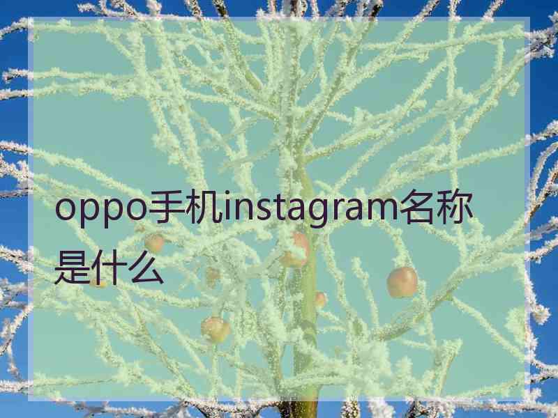 oppo手机instagram名称是什么