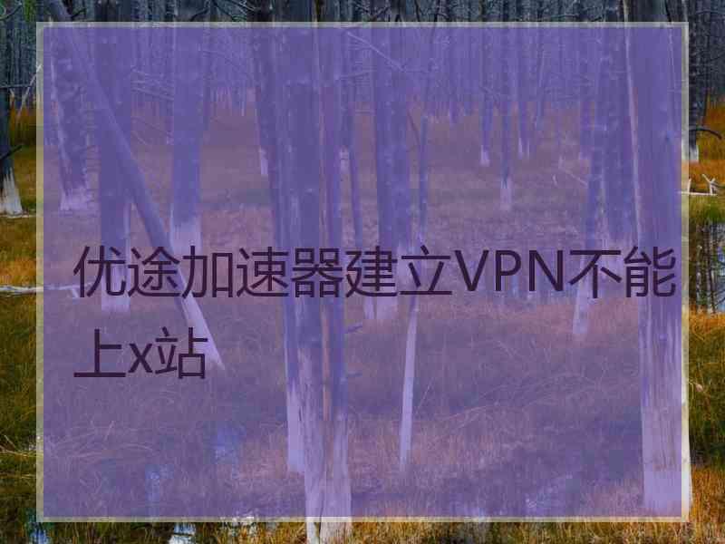 优途加速器建立VPN不能上x站