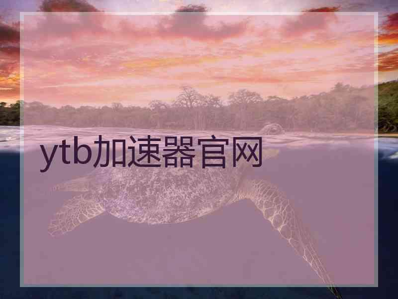 ytb加速器官网