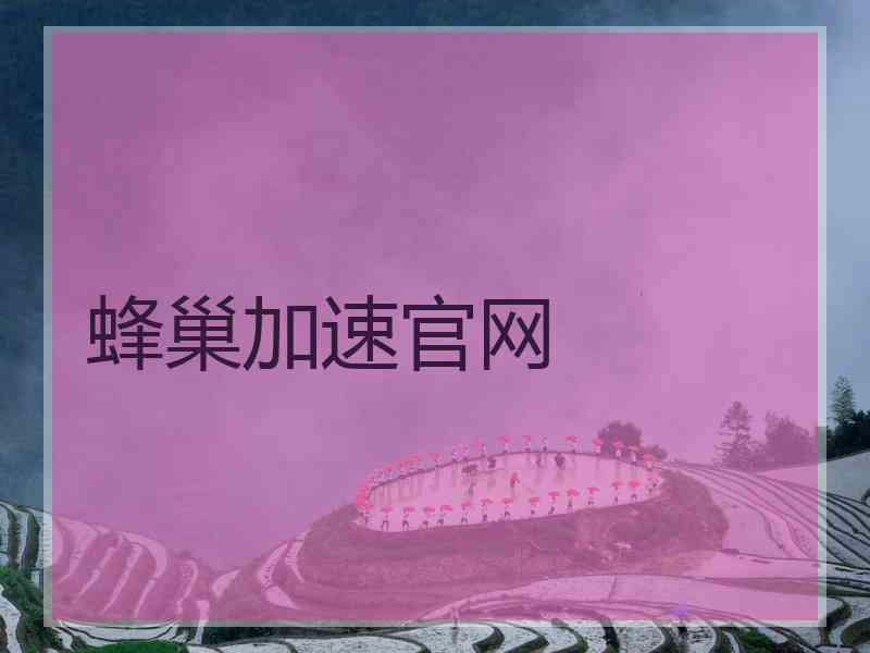 蜂巢加速官网