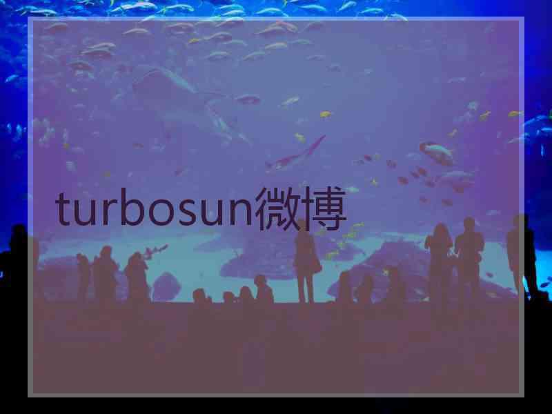 turbosun微博