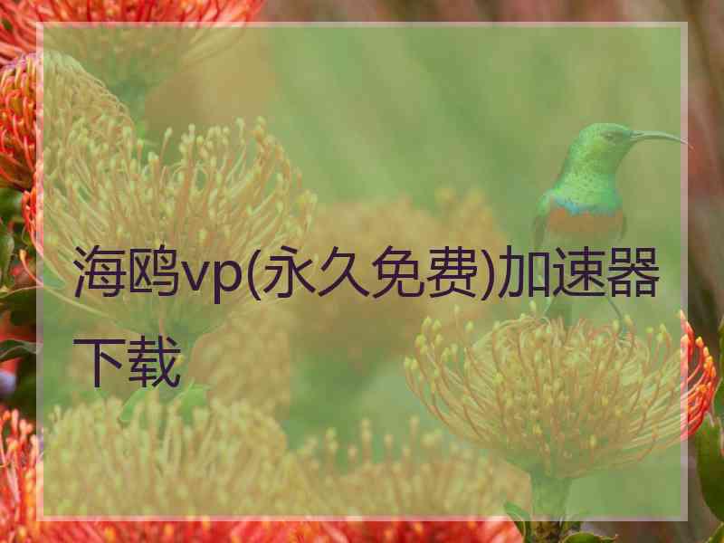 海鸥vp(永久免费)加速器下载