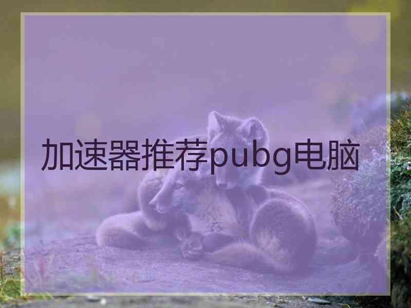 加速器推荐pubg电脑