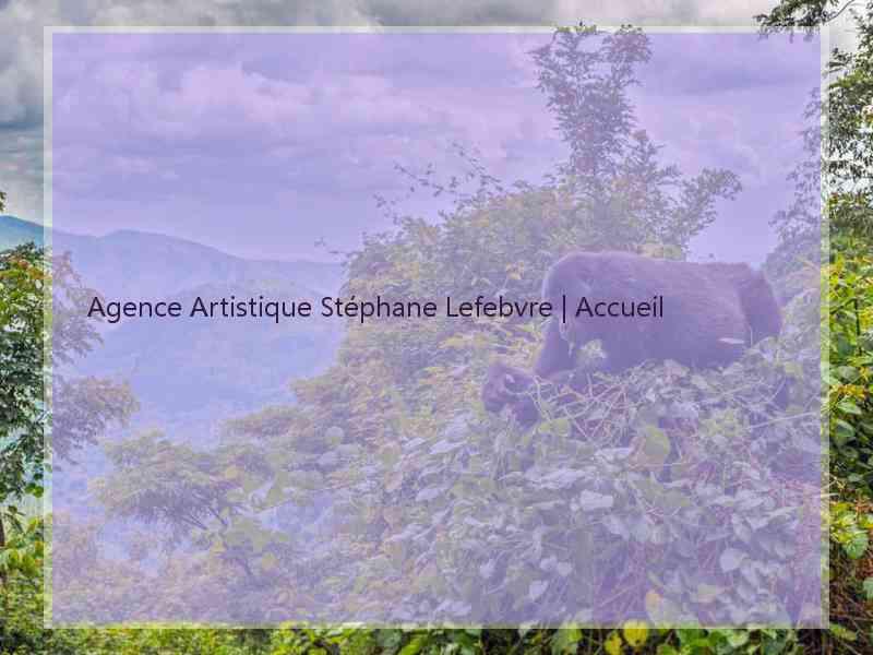 Agence Artistique Stéphane Lefebvre | Accueil