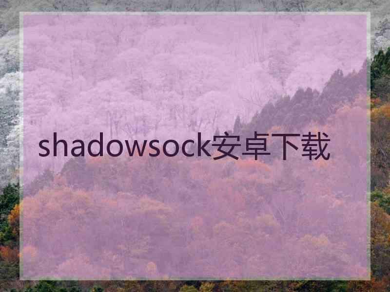 shadowsock安卓下载