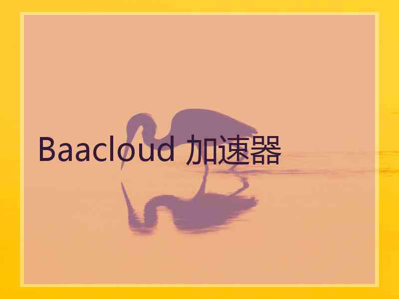 Baacloud 加速器