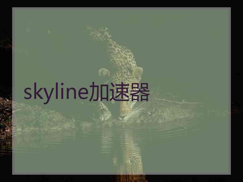 skyline加速器