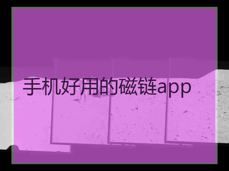 手机好用的磁链app