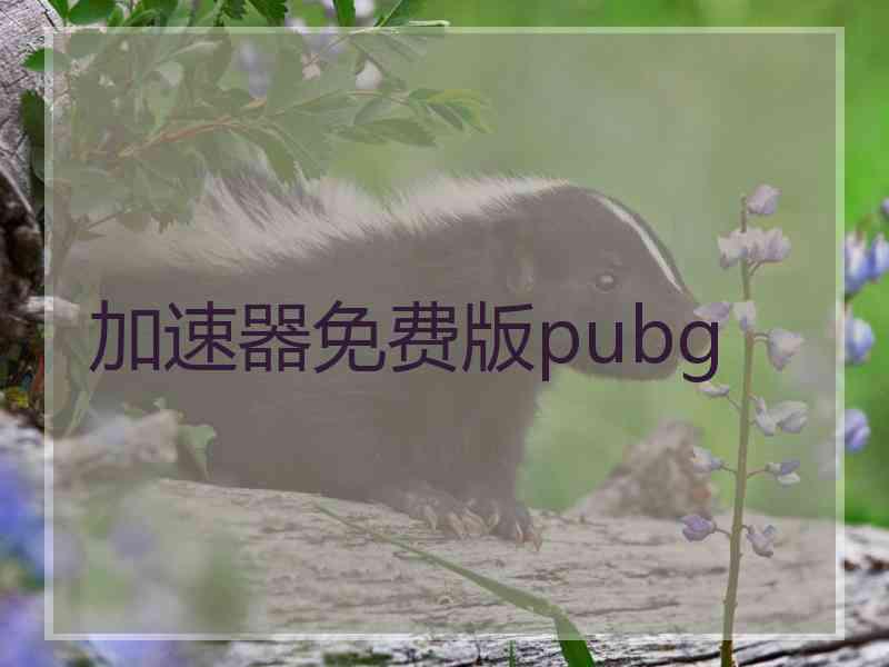 加速器免费版pubg