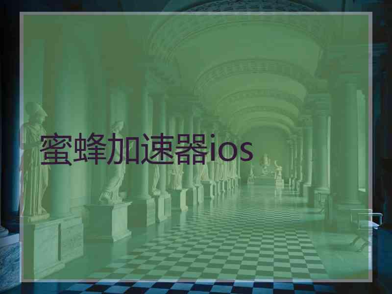 蜜蜂加速器ios