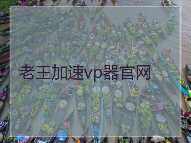 老王加速vp器官网