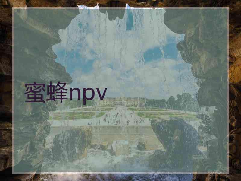 蜜蜂npv