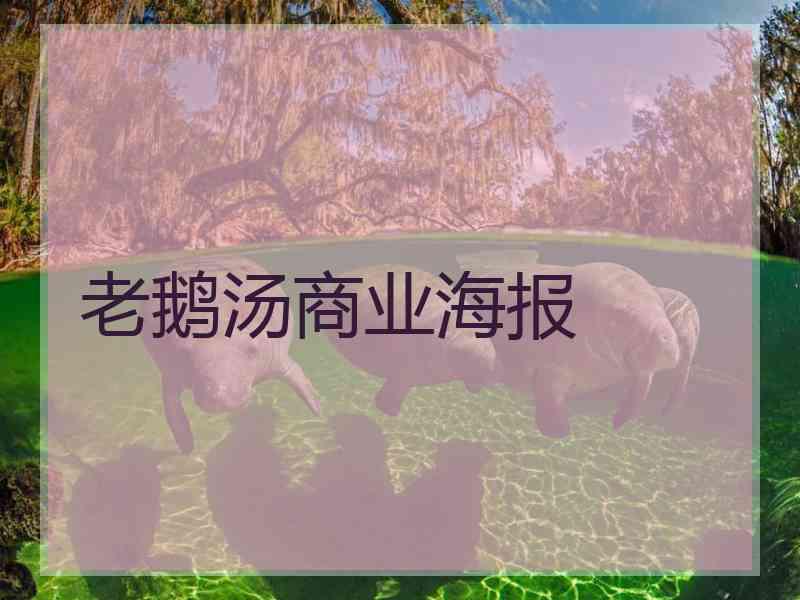 老鹅汤商业海报