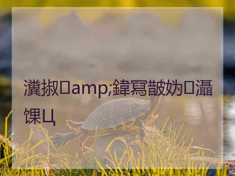 瀵掓amp;鍏冩皵妫灄馃Ц