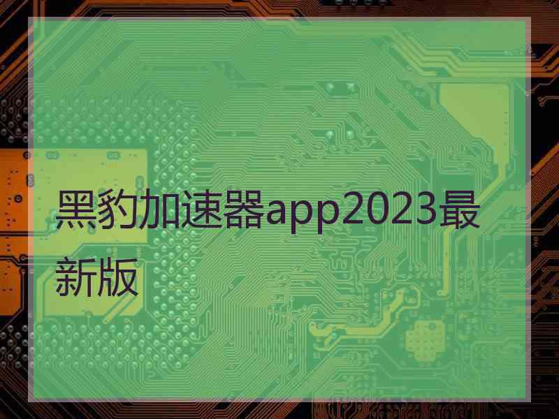 黑豹加速器app2023最新版