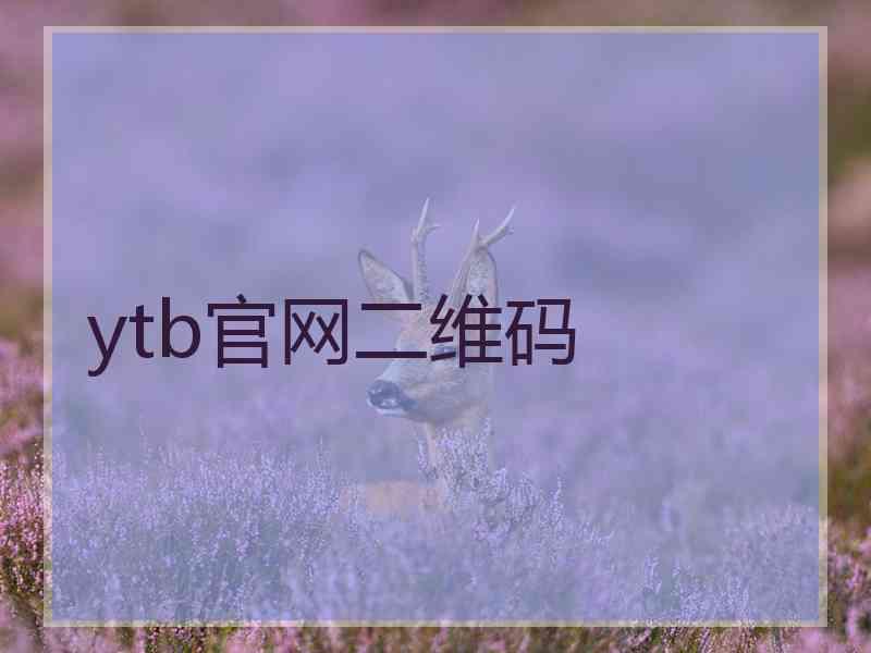 ytb官网二维码