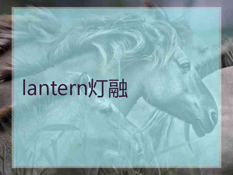 lantern灯融