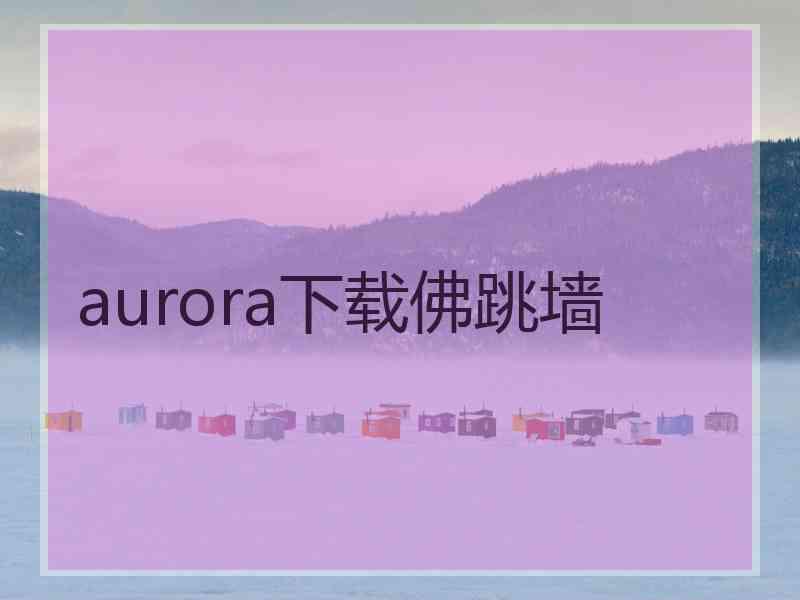 aurora下载佛跳墙