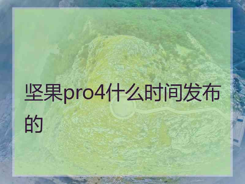 坚果pro4什么时间发布的