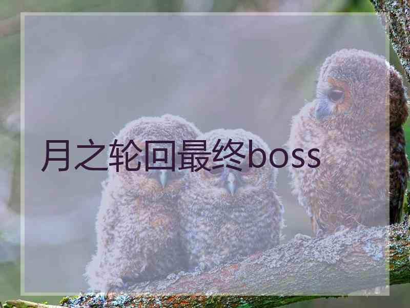 月之轮回最终boss