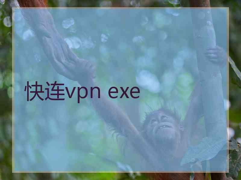 快连vpn exe