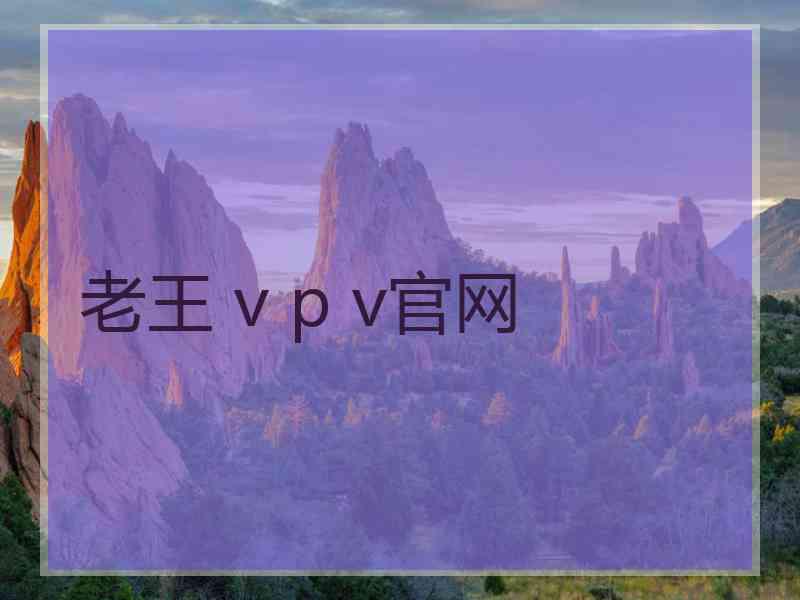 老王 v p v官网