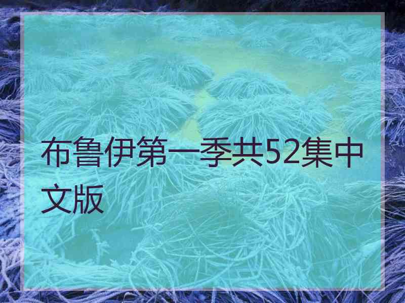 布鲁伊第一季共52集中文版