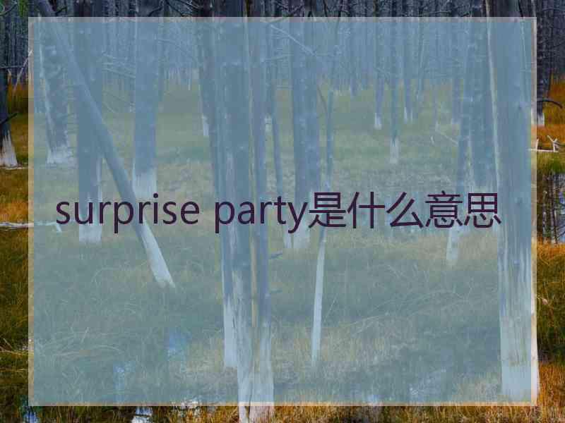 surprise party是什么意思