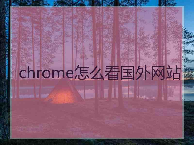 chrome怎么看国外网站