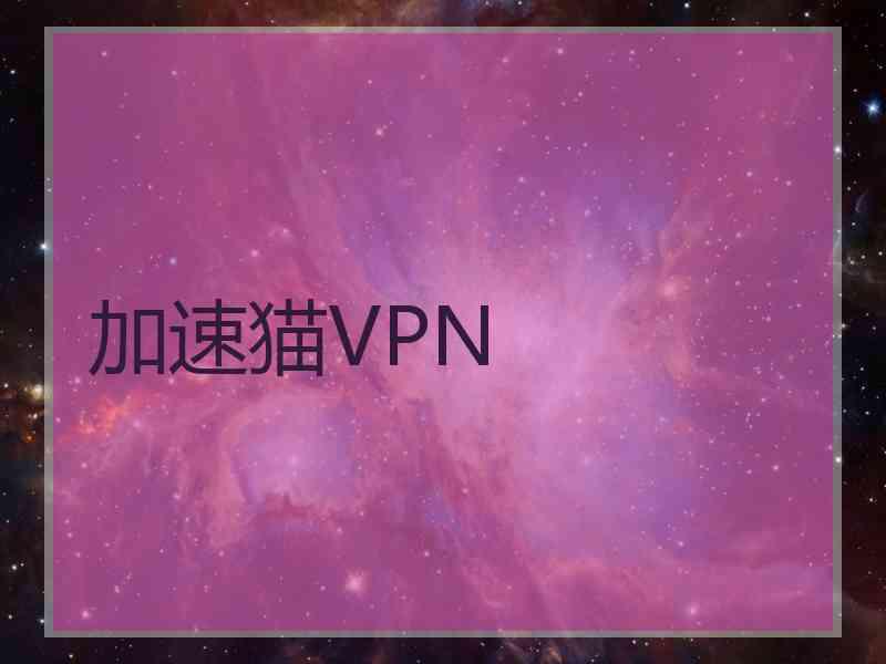 加速猫VPN