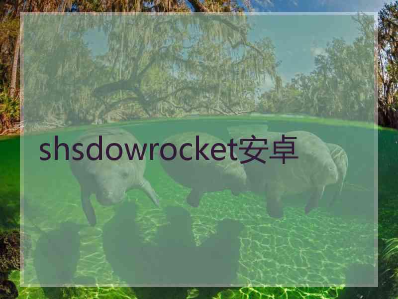 shsdowrocket安卓