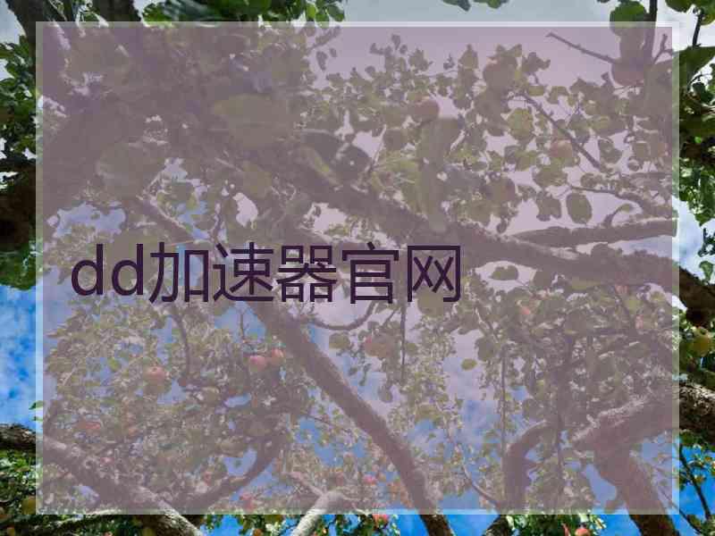 dd加速器官网