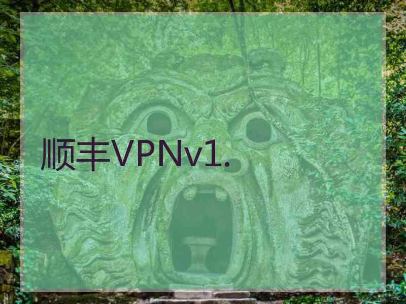 顺丰VPNv1.