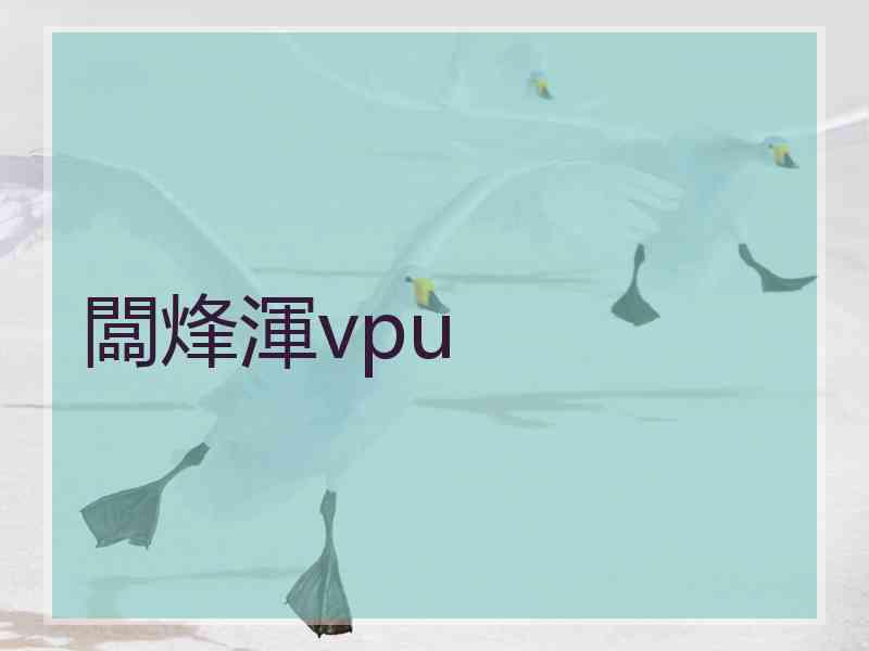 闆烽渾vpu