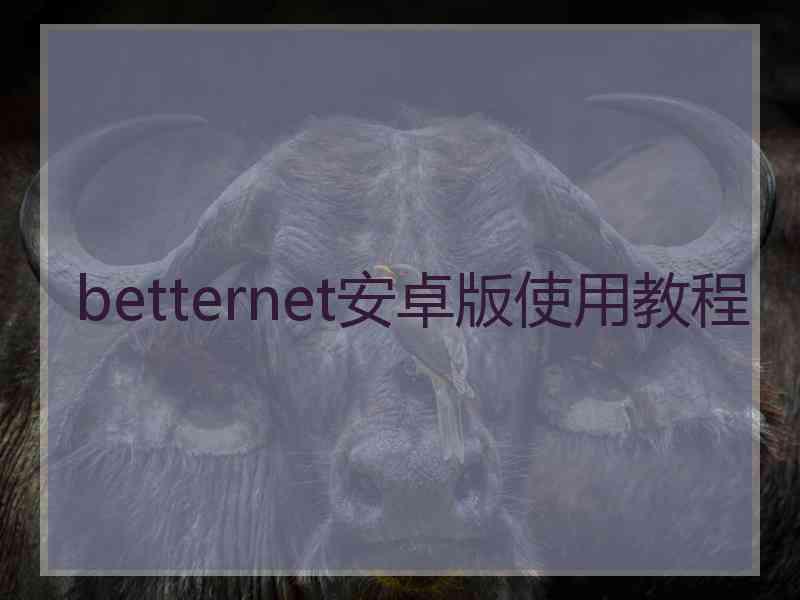 betternet安卓版使用教程