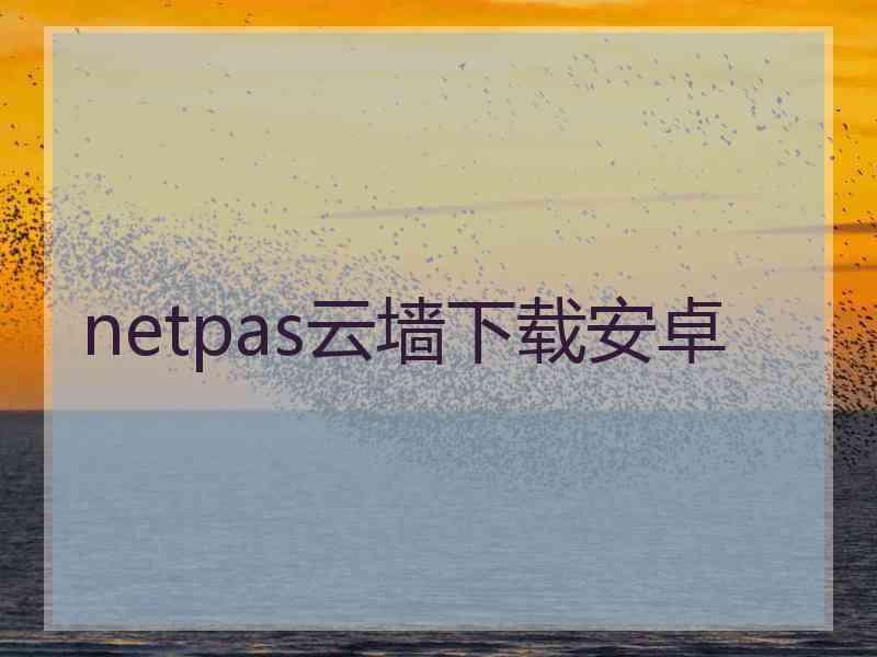 netpas云墙下载安卓