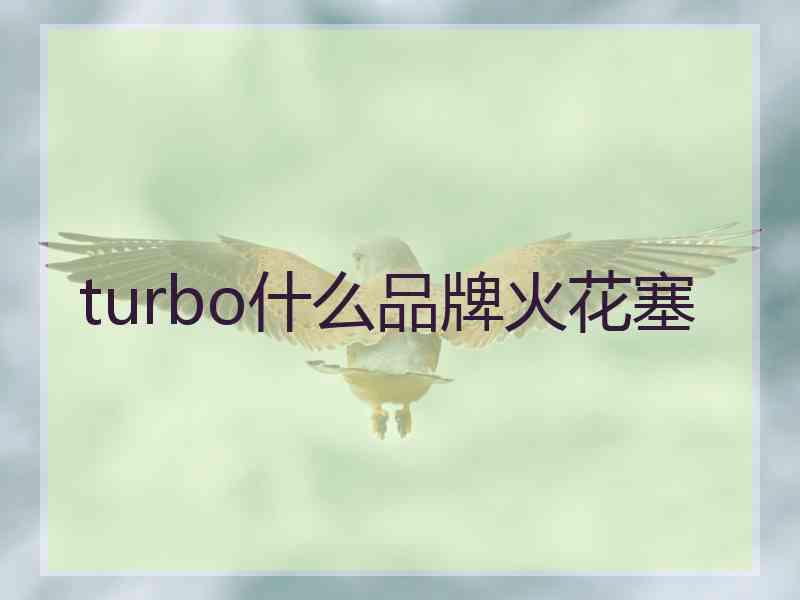 turbo什么品牌火花塞