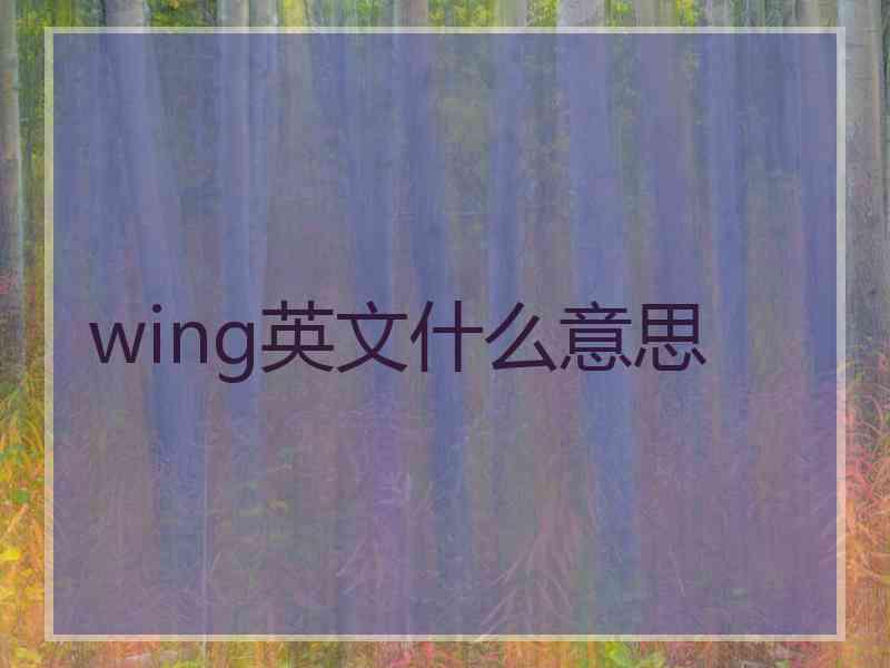 wing英文什么意思