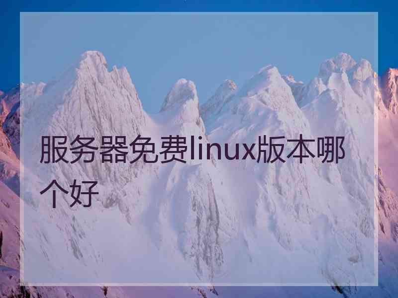 服务器免费linux版本哪个好