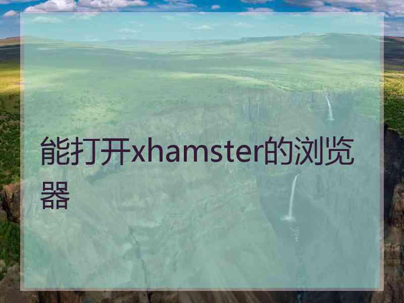 能打开xhamster的浏览器