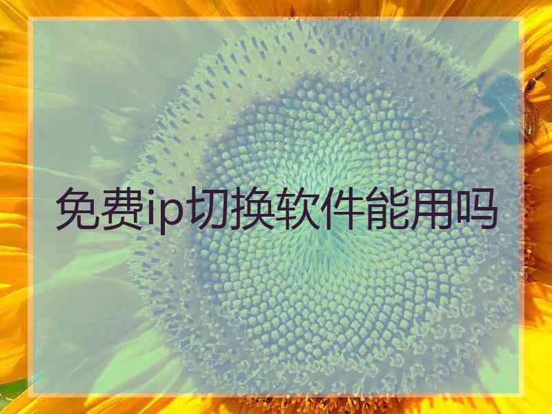 免费ip切换软件能用吗