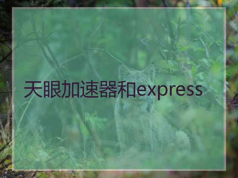 天眼加速器和express