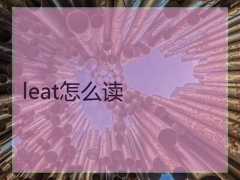 leat怎么读