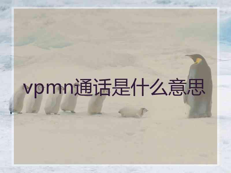 vpmn通话是什么意思