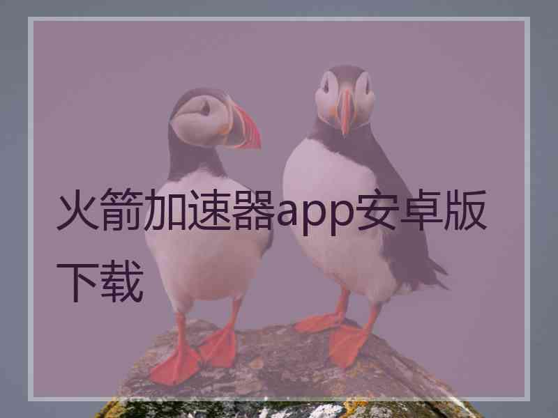 火箭加速器app安卓版下载