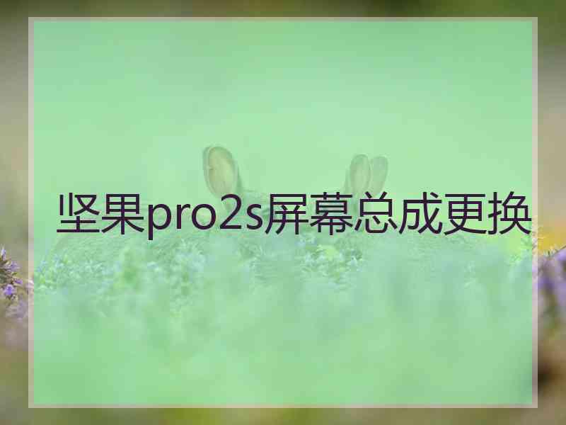 坚果pro2s屏幕总成更换