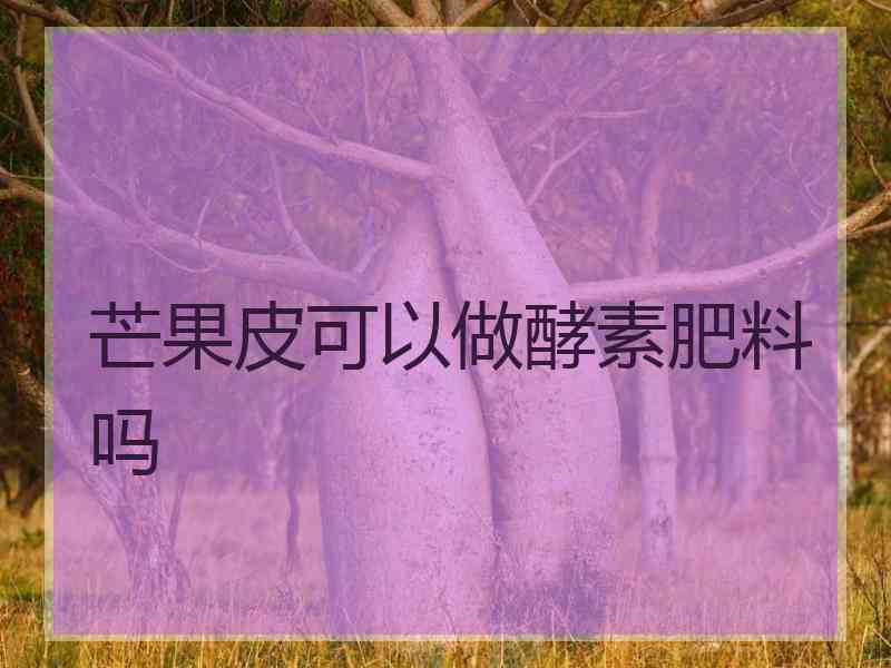 芒果皮可以做酵素肥料吗