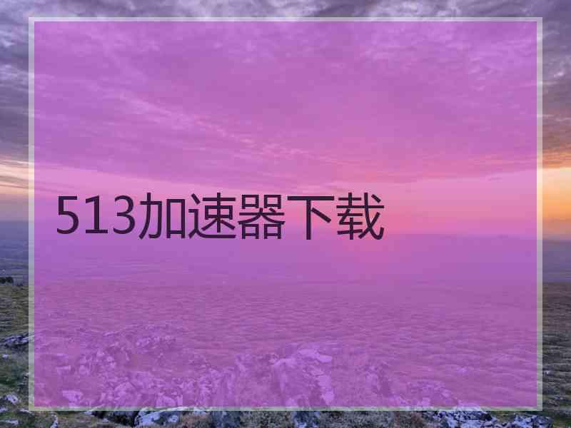 513加速器下载