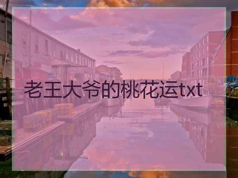 老王大爷的桃花运txt