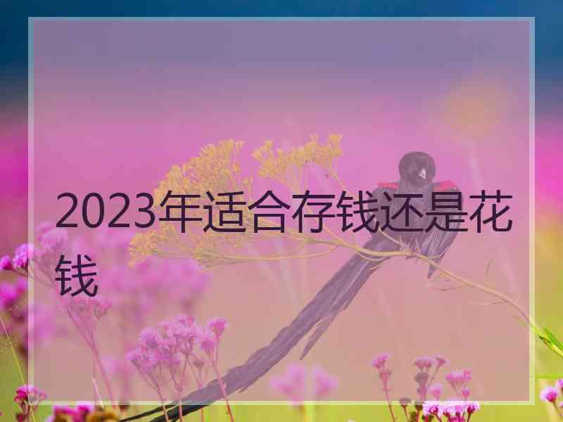 2023年适合存钱还是花钱